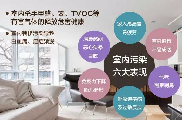 裝修污染早已伸向了學(xué)校？中學(xué)生無緣高考的背后是什么？